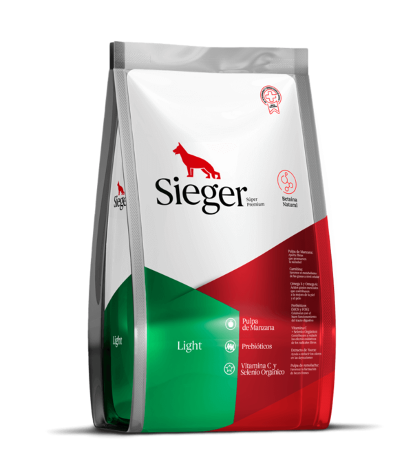 SIEGER LIGTH
